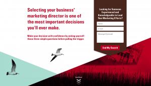 marketing director roles